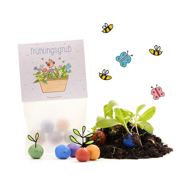 10x5 Flower Marbles in a Sachet Spring Greetings – Wildflower Seeds