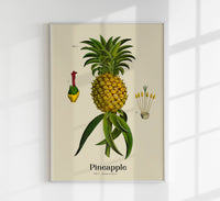 Pineapple Botanical Light Poster – Hell | Ananas | Fine Art Canvas — Ansicht 1