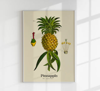 Fine-Art-Poster mit heller Ananas-Botanik auf Premium-Canvas. Tropische Fruchtillustration in strahlenden Tönen, rahmenlos für helle Raumgestaltung und Küchendeko.