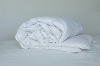 Daunendecke Lotus 90 Hotel Kollektion – Entendaunen | Mako-Baumwolle | Ganzjahresdecke