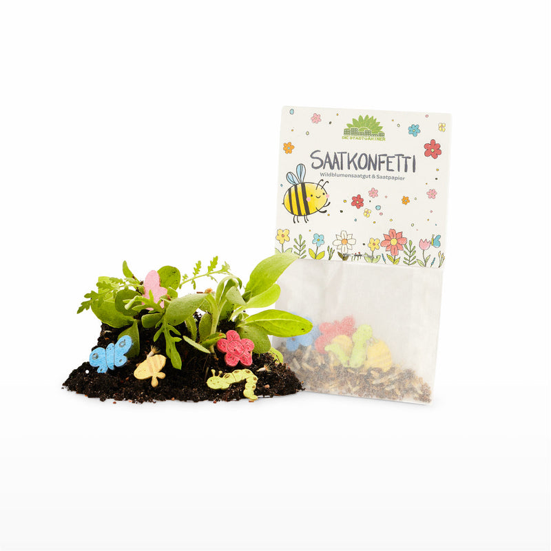 Set of 10 Colorful Seed Confetti Packets – Handmade Wildflower Mix — Ansicht 8