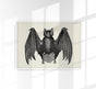 Antique Bat Poster – Vintage Illustration Fine Art Print or Canvas