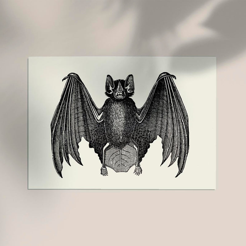 Antique Bat Poster – Vintage Illustration Fine Art Print or Canvas — Ansicht 2