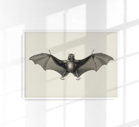 Antique Big Bat Poster – Fine Art Print UV-resistant Studio Print Berlin — Ansicht 1