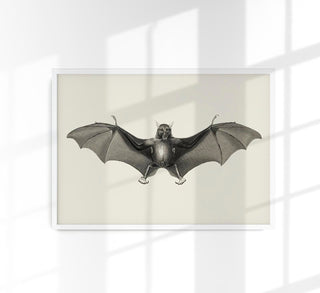 Antique Big Bat Poster – Fine Art Print UV-beständig Atelierdruck Berlin