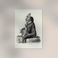 Baboon Poster – Archivpapier, Berlin — Ansicht 2
