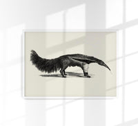Antique Giant Anteater – Vintage Illustration Fine Art Print or Canvas — Ansicht 1