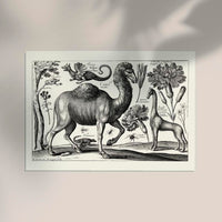 Camel Engraving Poster - Fine Art Print on Archival Paper — Ansicht 2