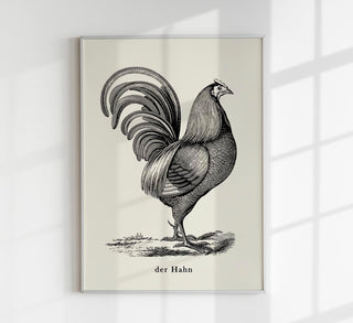Vintage-Poster „Antique Red Rooster“ als Fine-Art-Print auf 225g Papier oder 380g Canvas, in A3 bis A0/B0, ohne Rahmen – klassisches Tiermotiv.
