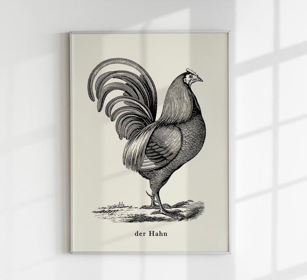 Antique Red Rooster Poster - Vintage Illustration Fine Art Print