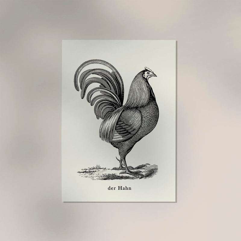 Antique Red Rooster Poster - Vintage Illustration Fine Art Print — Ansicht 2
