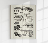 Antique Diluvian Animals – Prehistoric Poster | Fine Art & Canvas — Ansicht 1