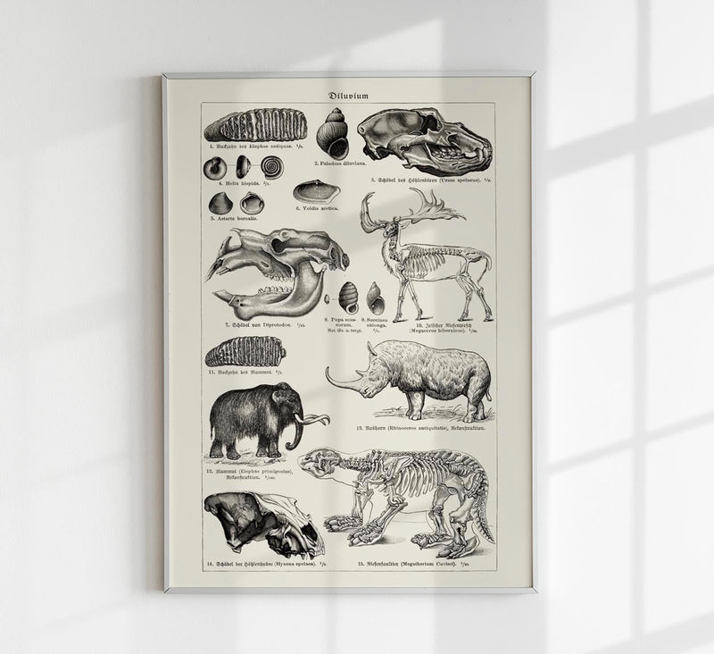 Antique Diluvian Animals – Prehistoric Poster | Fine Art & Canvas — Patroa Studio