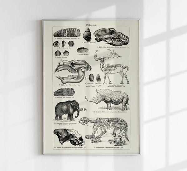 Antique Diluvium Animals – Prehistoric Poster | Fine Art & Canvas