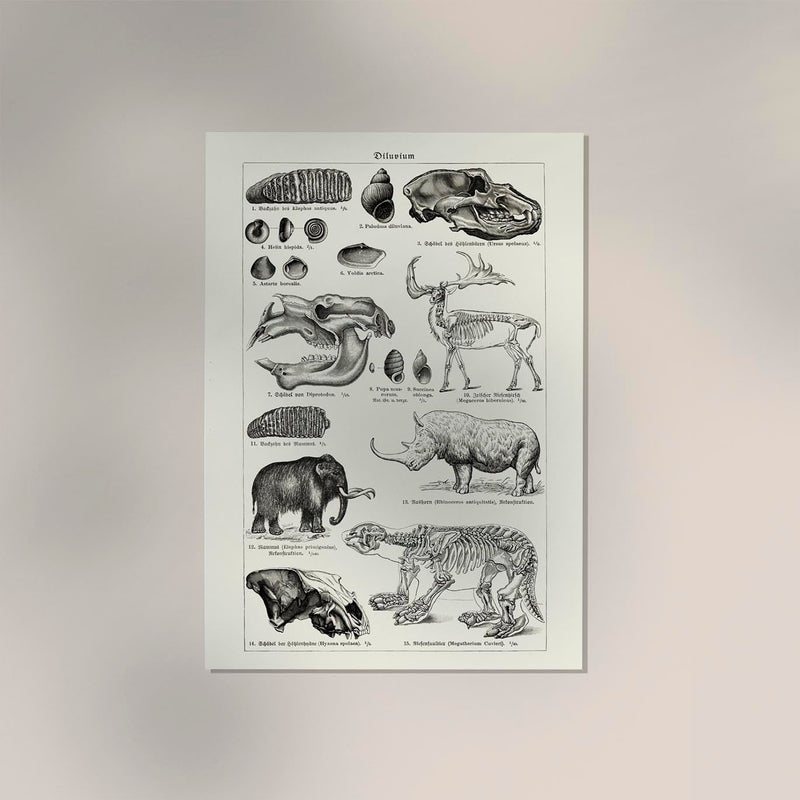 Antique Diluvian Animals – Prehistoric Poster | Fine Art & Canvas — Ansicht 2