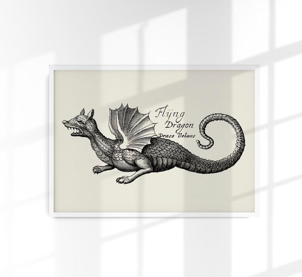 Antique Flying Dragon Vintage Myth Poster | Fine Art & Canvas | Patroa Studio