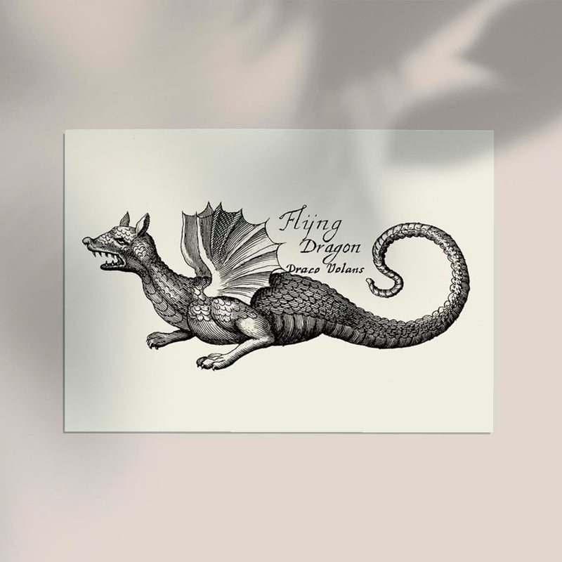 Antique Flying Dragon Vintage Myth Poster | Fine Art & Canvas | Patroa Studio — Ansicht 2