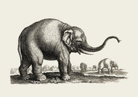 Antique Elephant Poster – Fine Art Print Vintage Wildlife UV-Resistant — Ansicht 3