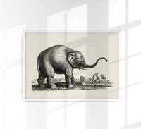 Antique Elephant Poster – Fine Art Print Vintage Wildlife UV-Resistant — Ansicht 1
