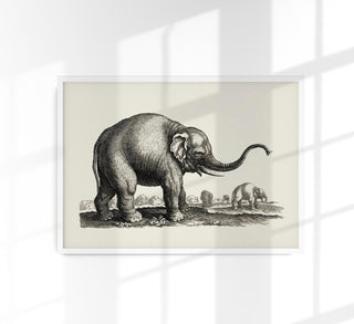 Antique Elephant Poster – Fine Art Print | Vintage Wildlife | UV‑resistent