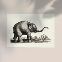 Antique Elephant Poster – Fine Art Print Vintage Wildlife UV-Resistant — Ansicht 2