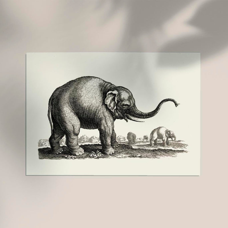 Antique Elephant Poster – Fine Art Print Vintage Wildlife UV-Resistant — Ansicht 2