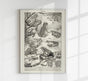 Frog Poster – Vintage Illustration Kunstdruck