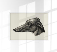 Grey Dog Poster – Vintage Illustration Druck — Ansicht 1