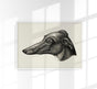 Grey Dog Poster – Vintage Illustration Druck