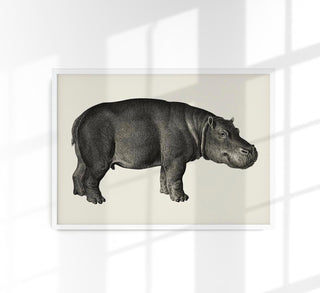 Hippo Poster Fine Art Print Patroa Studio Wall Art Modern