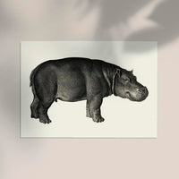 Hippo Poster Fine Art Print Patroa Studio Wandbild Modern — Ansicht 2