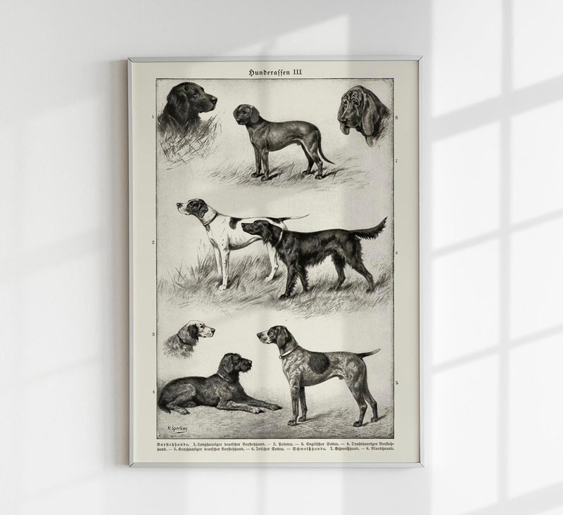 Dog breeds III Poster – Vintage Illustration Kunstdruck — Patroa Studio