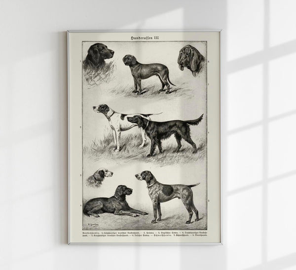 Dog Breeds III Poster – Vintage Illustration Art Print