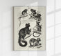 Half Monkeys Poster – Vintage Illustration Kunstdruck
