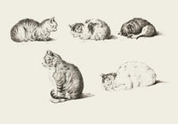 Cats Poster – Vintage Illustration von Patroa Studio — Ansicht 3
