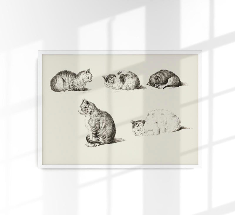 Cats Poster – Vintage Illustration von Patroa Studio — Patroa Studio