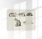 Cats Poster – Vintage Illustration von Patroa Studio