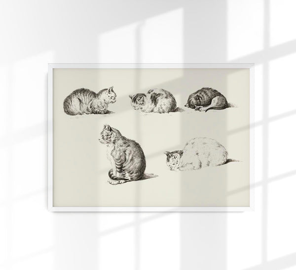 Cats Poster – Vintage Illustration von Patroa Studio