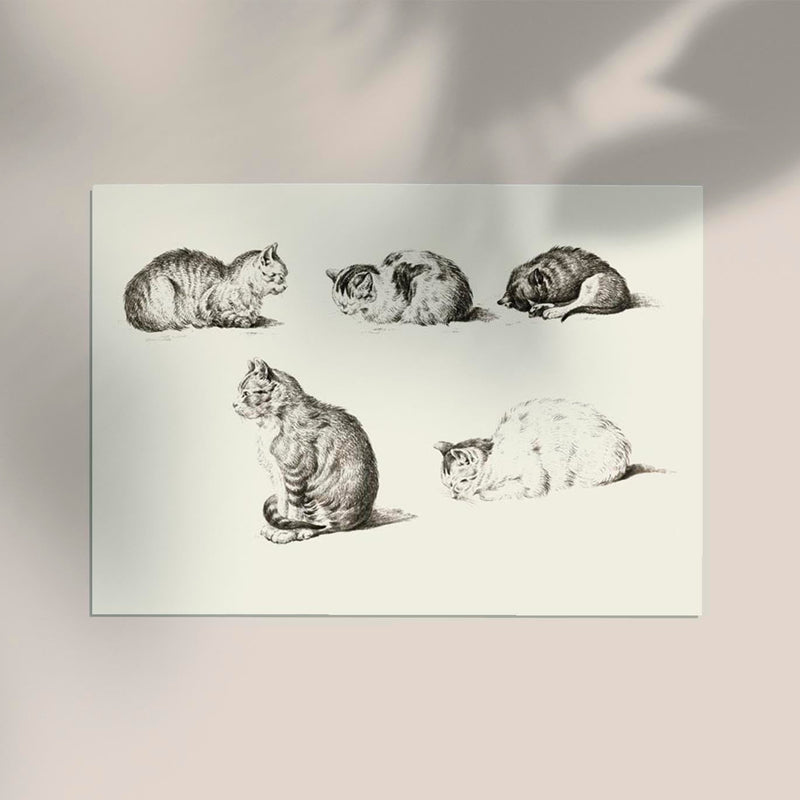 Cats Poster – Vintage Illustration von Patroa Studio — Ansicht 2