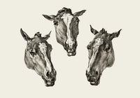 Kumple Horses Poster – Vintage Illustration Berlin — Ansicht 3