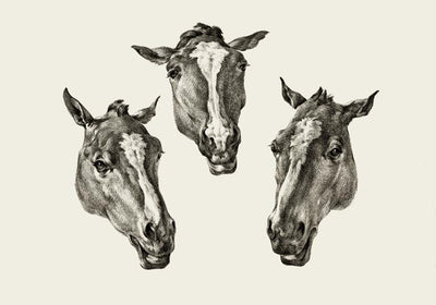 Kumple Horses Poster – Vintage Illustration Berlin
