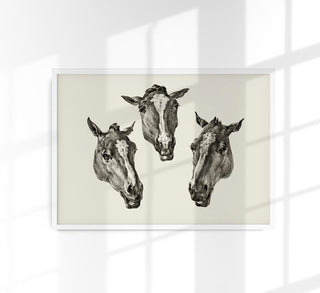 Kumple Horses Poster – Vintage Illustration Berlin