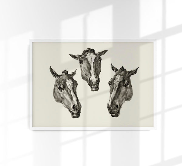 Kumple Horses Poster – Vintage Illustration Berlin