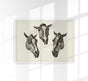 Kumple Horses Poster – Vintage Illustration Berlin