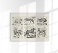 Cats I Poster – Handgedruckt Berlin — Ansicht 1