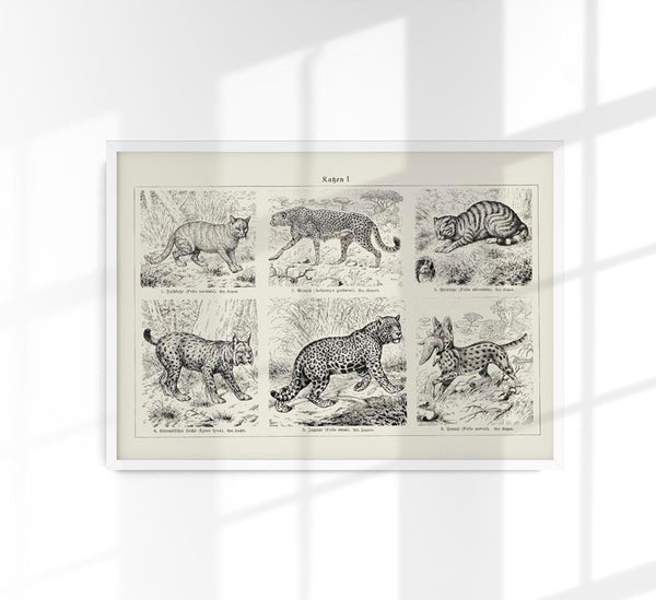 Cats I Poster – Handprinted Berlin