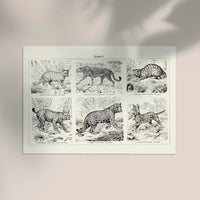 Cats I Poster – Handgedruckt Berlin — Ansicht 2