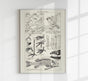 Animal Body Parts Anatomy Poster – Fine Art & Canvas