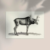 Antique Moose – Vintage Wildlife Poster Fine Art Canvas — Ansicht 2