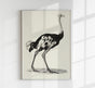 Antique Ostrich – Vintage Bird Poster | Fine Art Print or Canvas